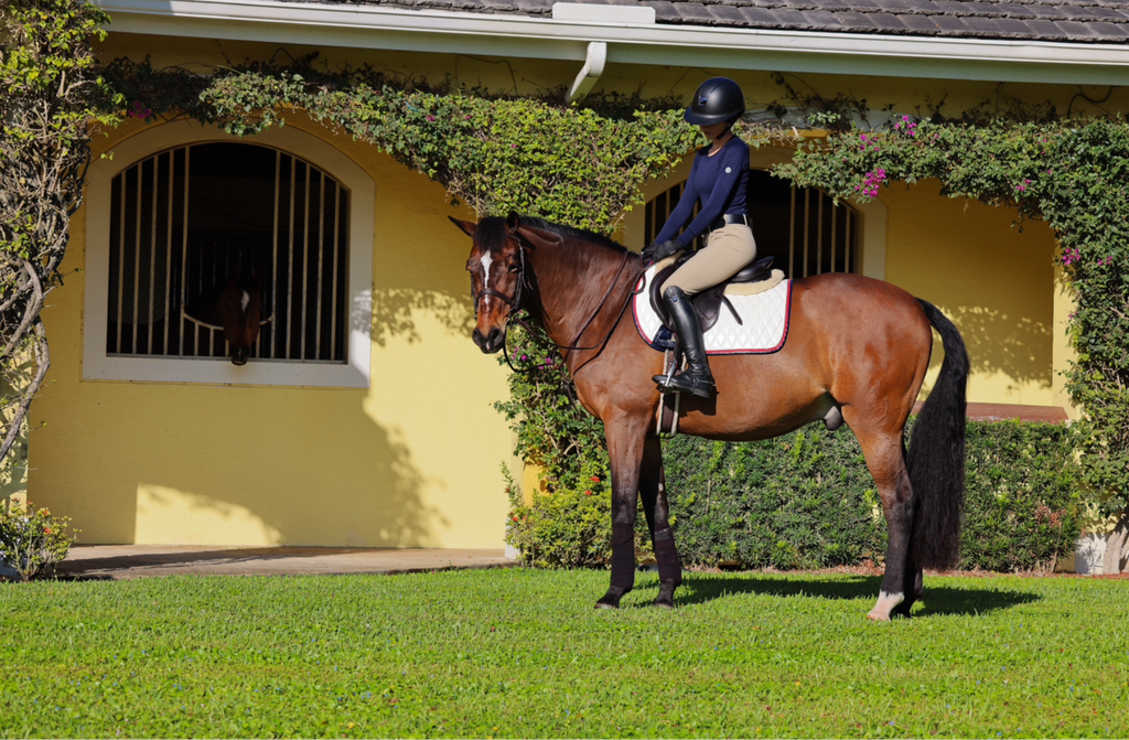 Jump Saddle Pad | White