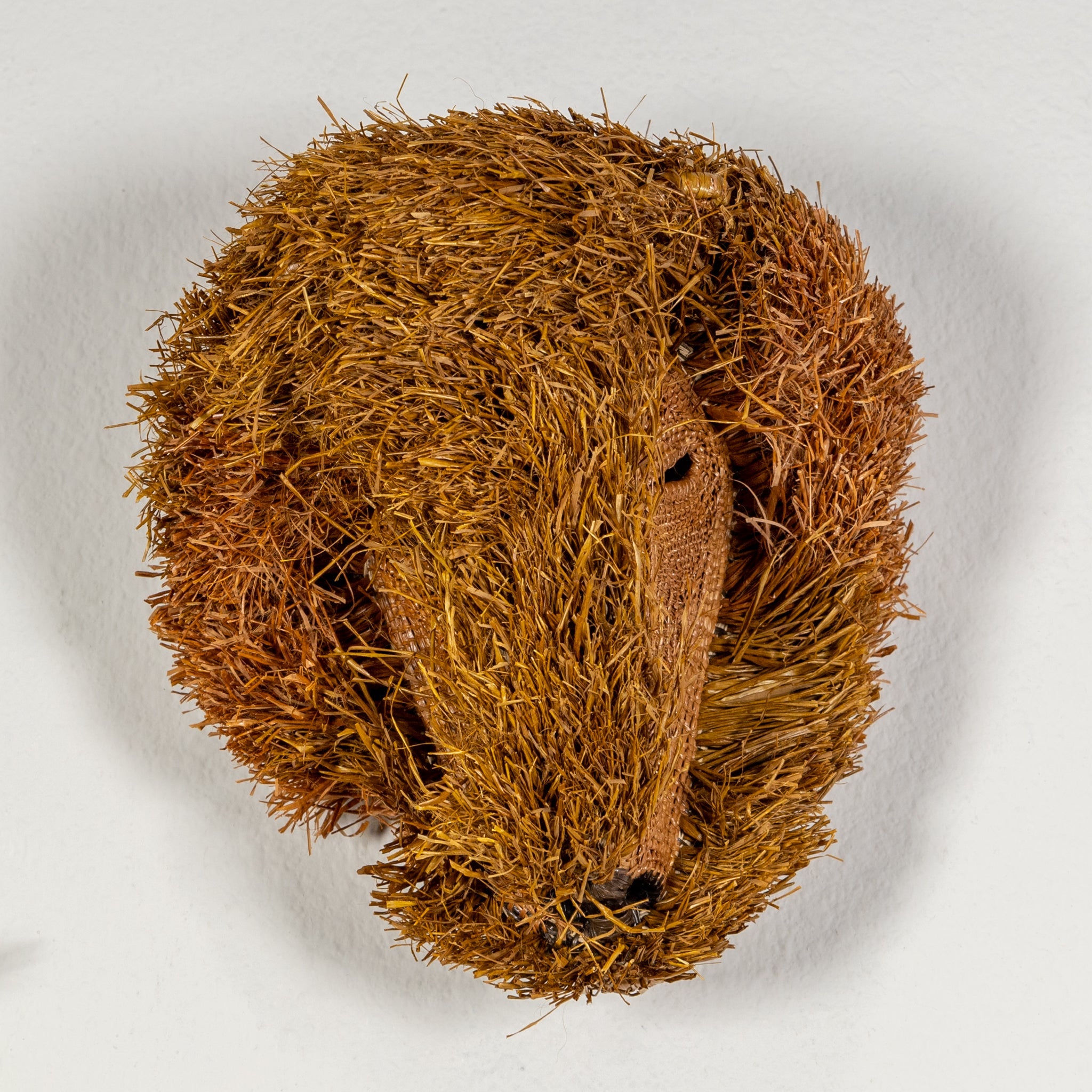 Brown Labradoodle Dog Mask
