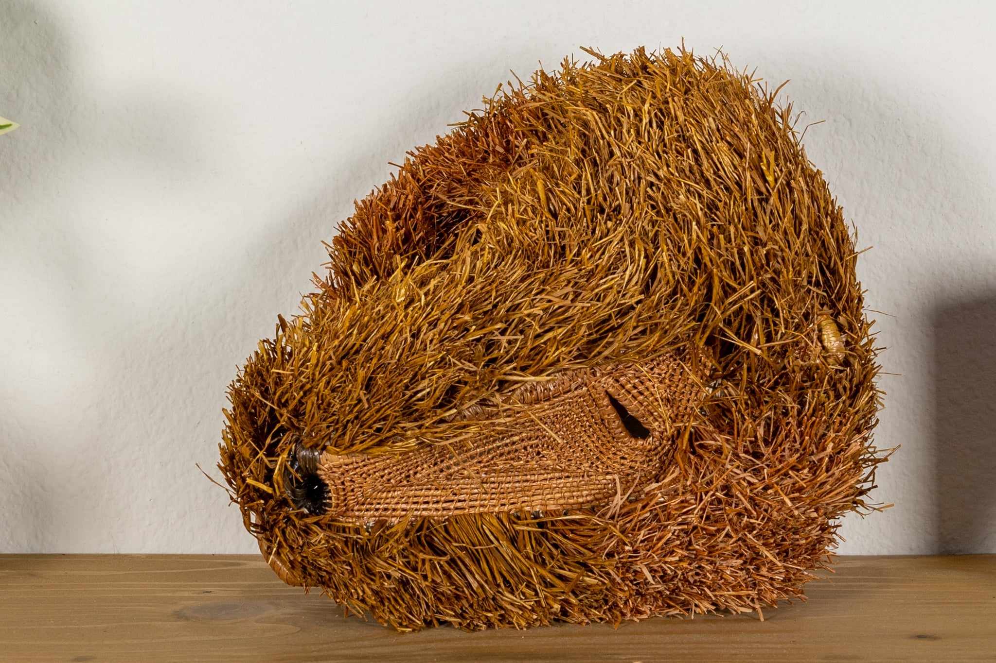 Brown Labradoodle Dog Mask