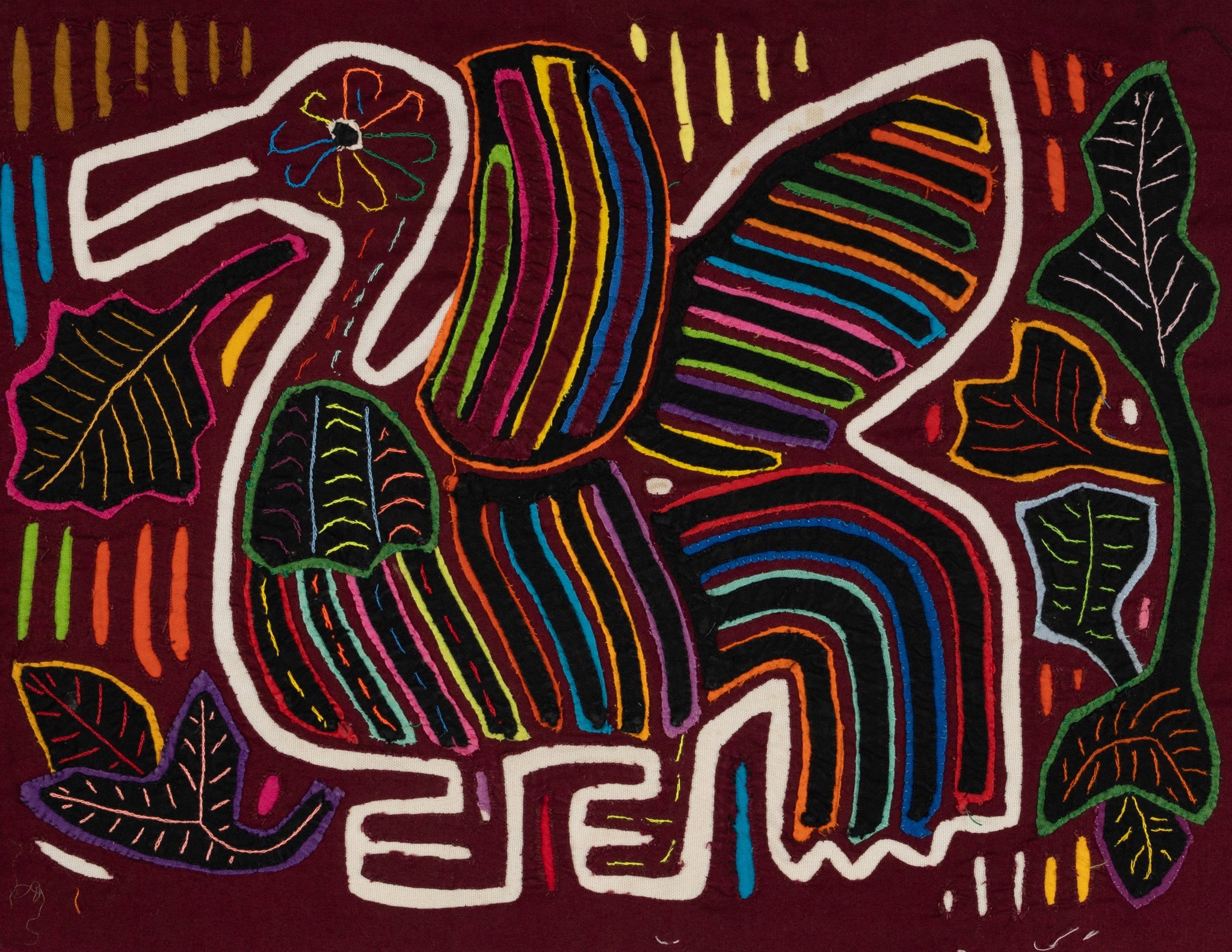Fancy Pelican Bird Mola