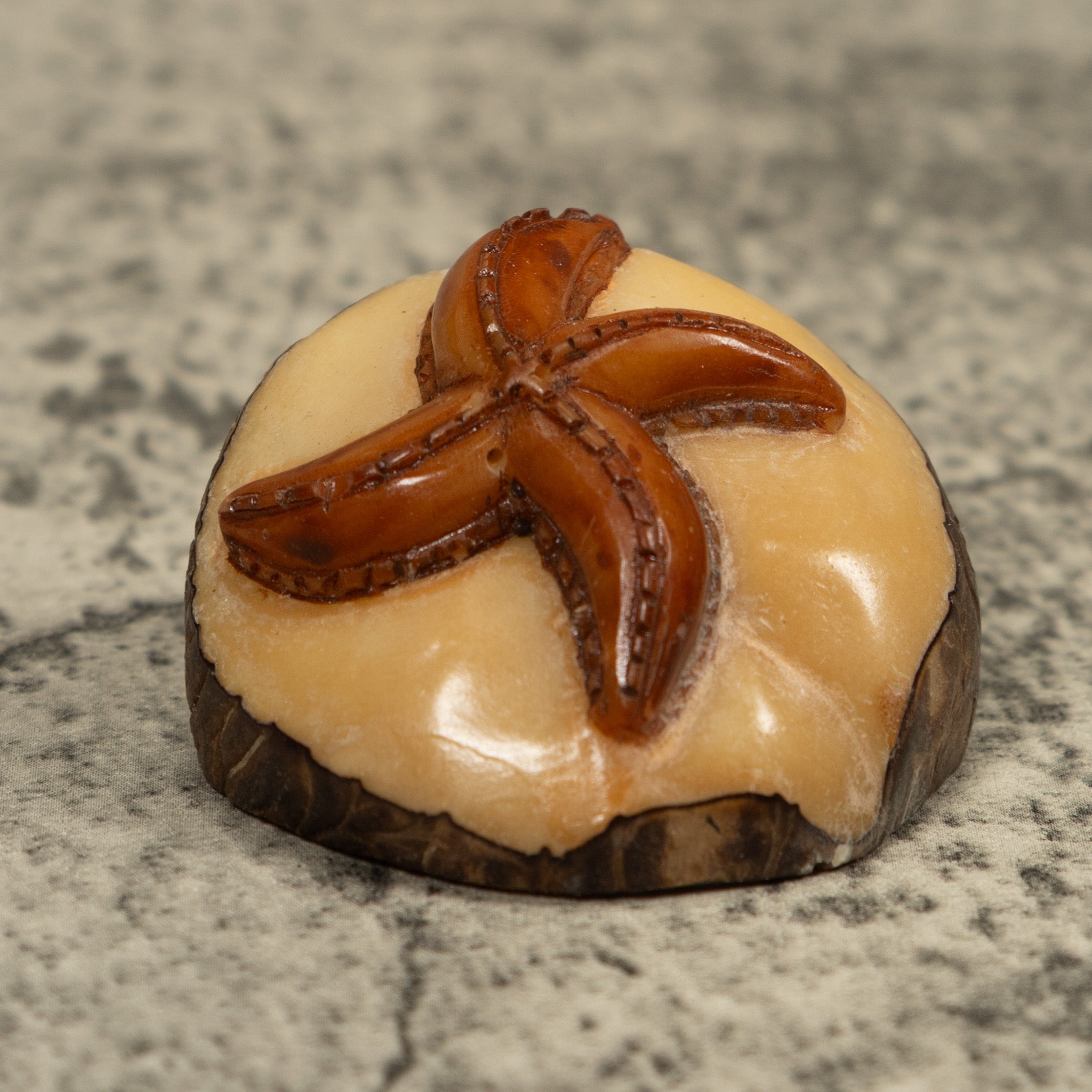 Starfish Tagua Carving