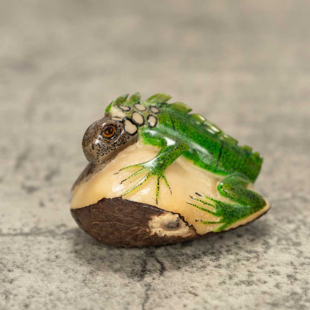 Iguana Lizard Tagua Nut Carving