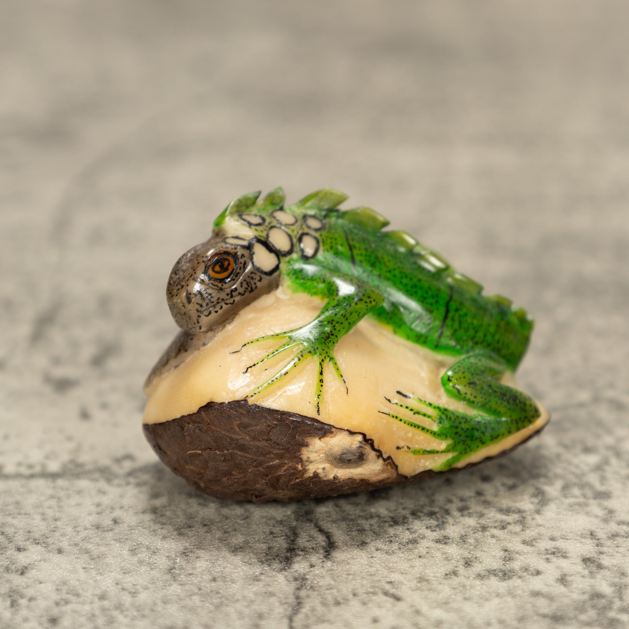 Iguana Lizard Tagua Nut Carving