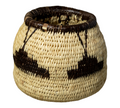 Rainforest Vintage Basket