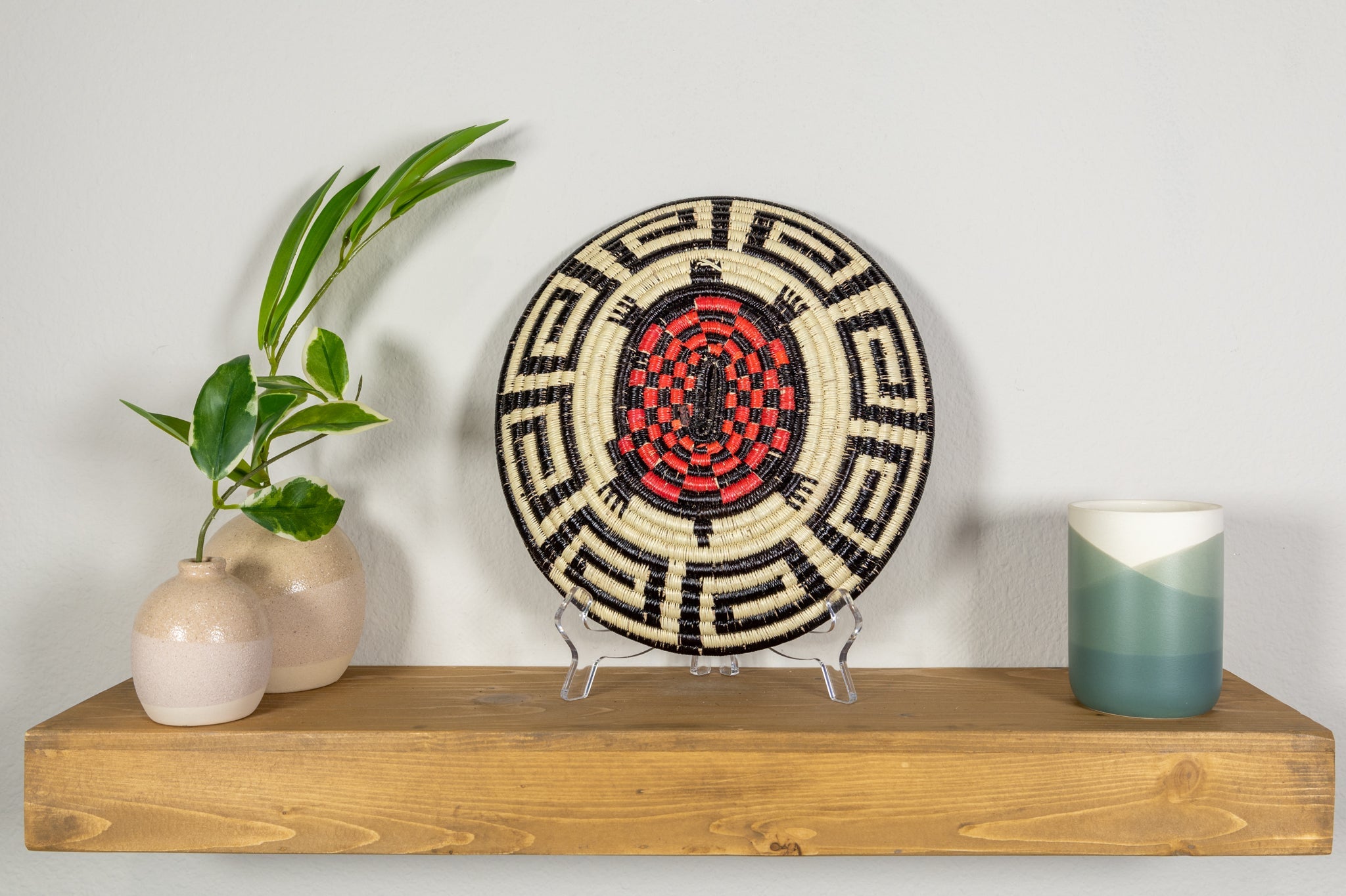 Galapagos Tortoise Basket Plate