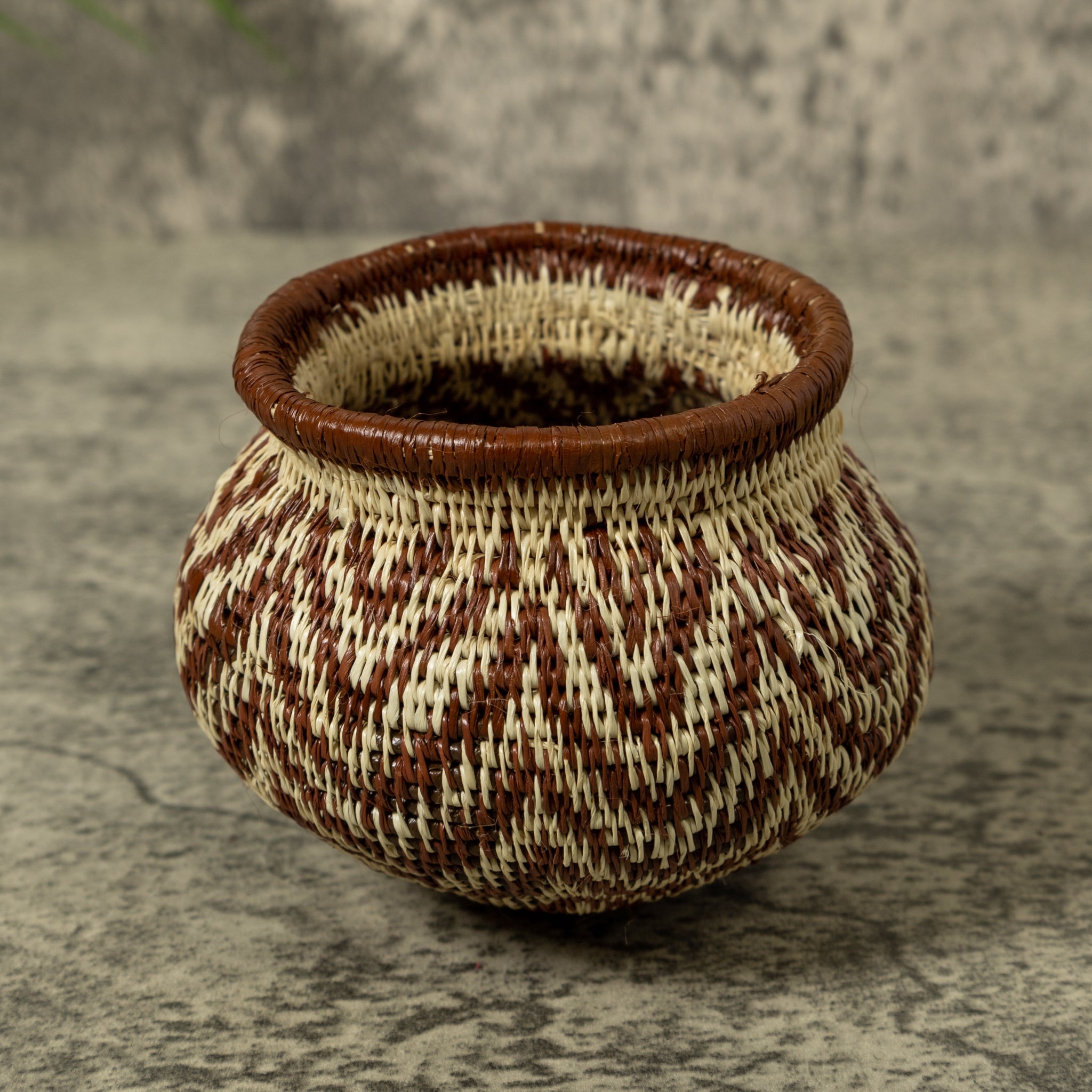 Rippling Star Rainforest Basket