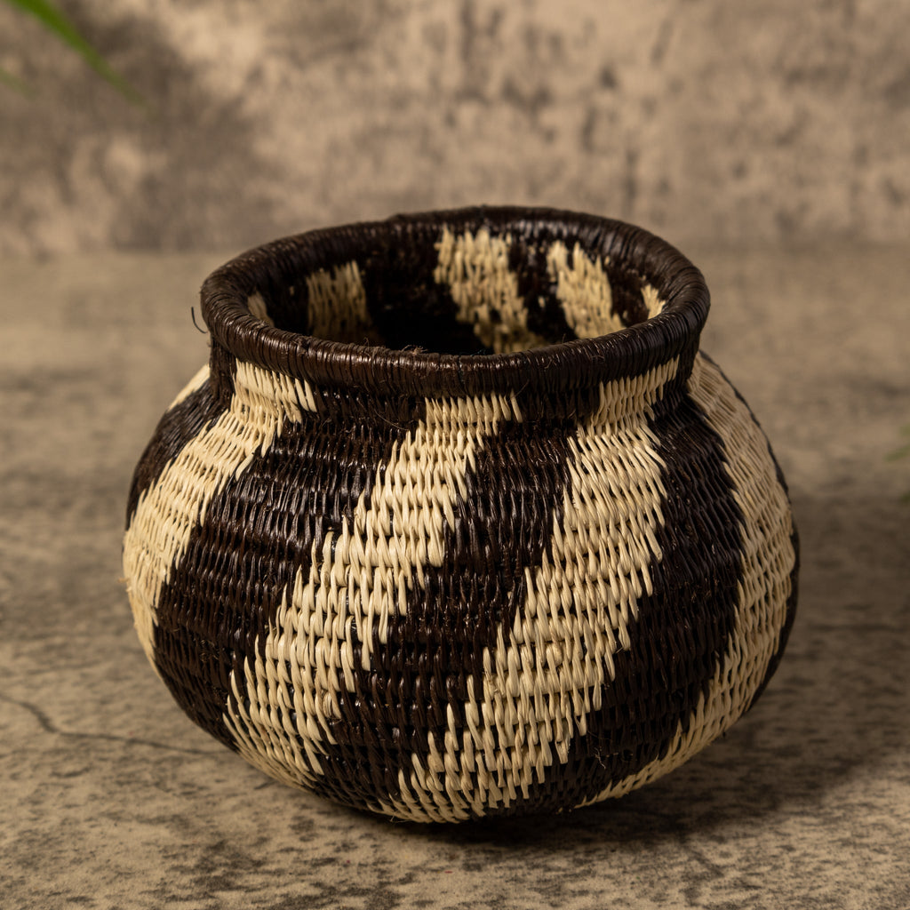 Spinner Swirl Rainforest Basket