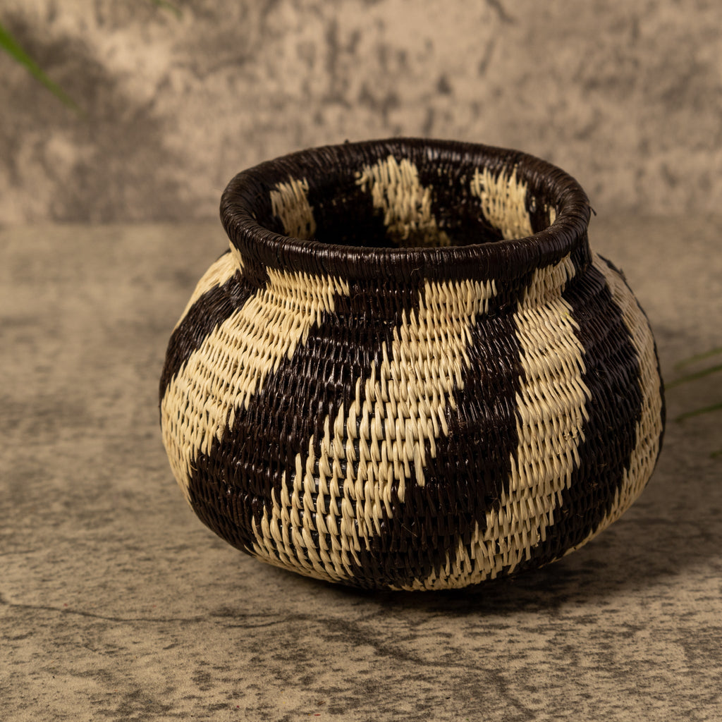 Spinner Swirl Rainforest Basket