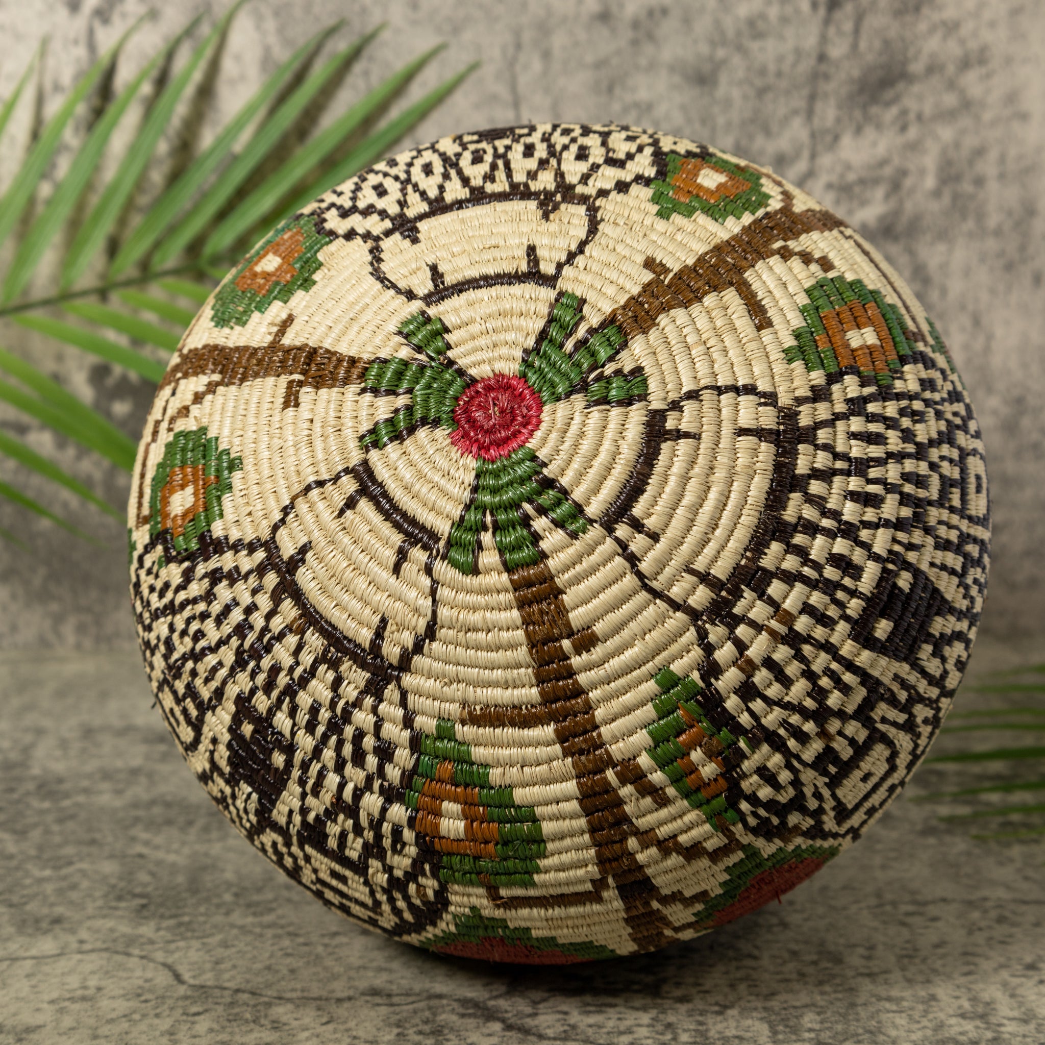 Jungle Cat Rainforest Basket