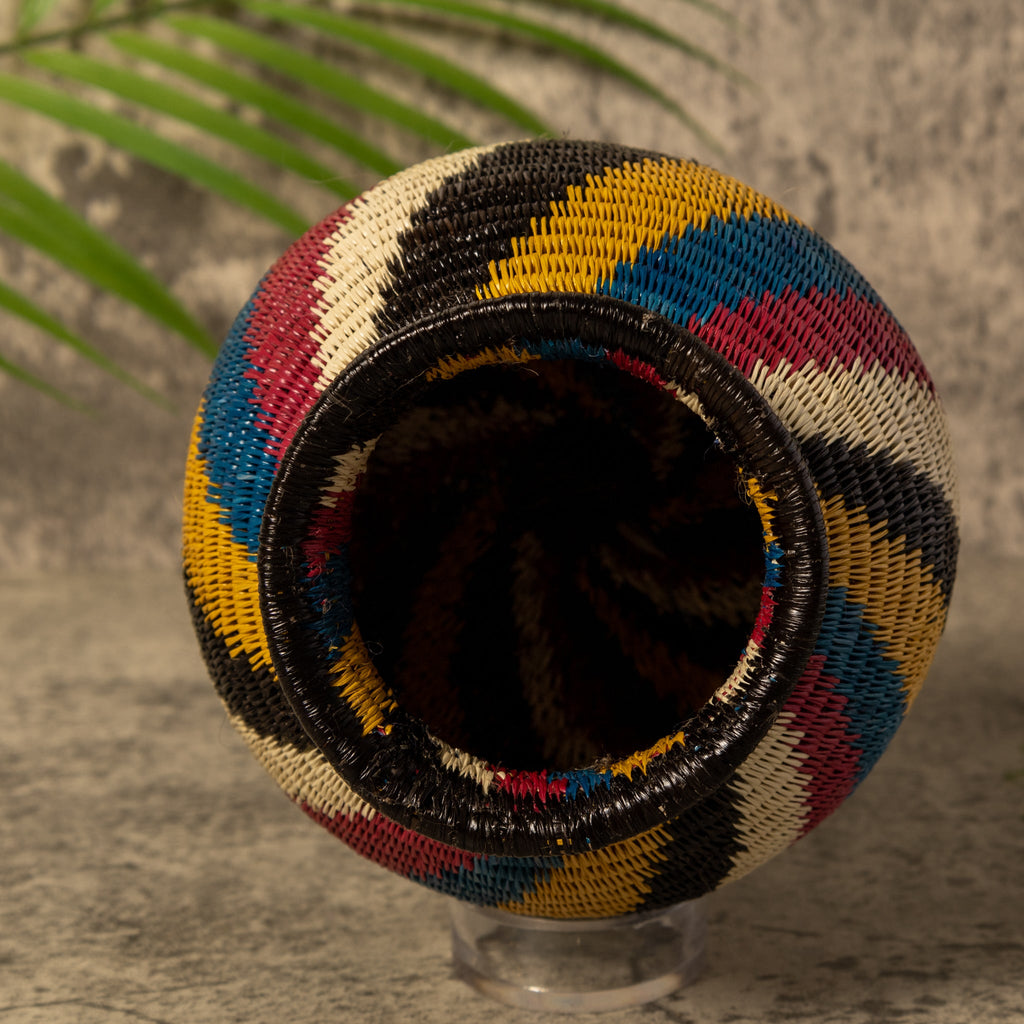 Rainbow Illusion Rainforest Basket