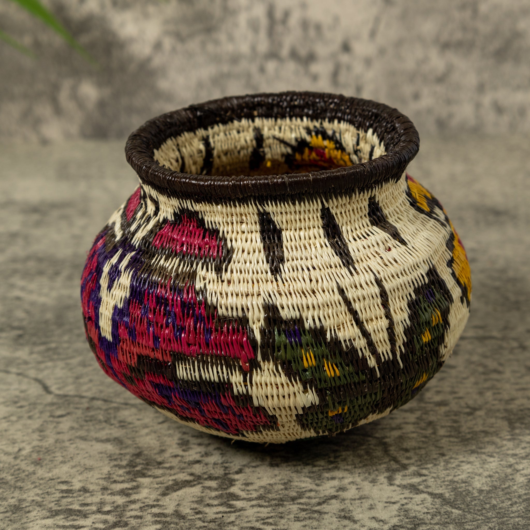 Multi-Color Butterfly Rainforest Basket
