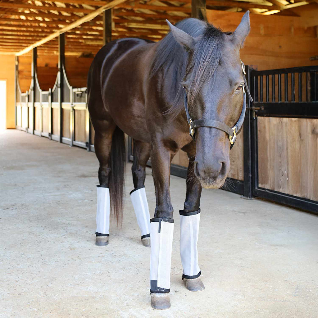 Pre-Sale Jeffers Romper Stomper "Stomp-Free" Fly Boots for Horses, 4 pack