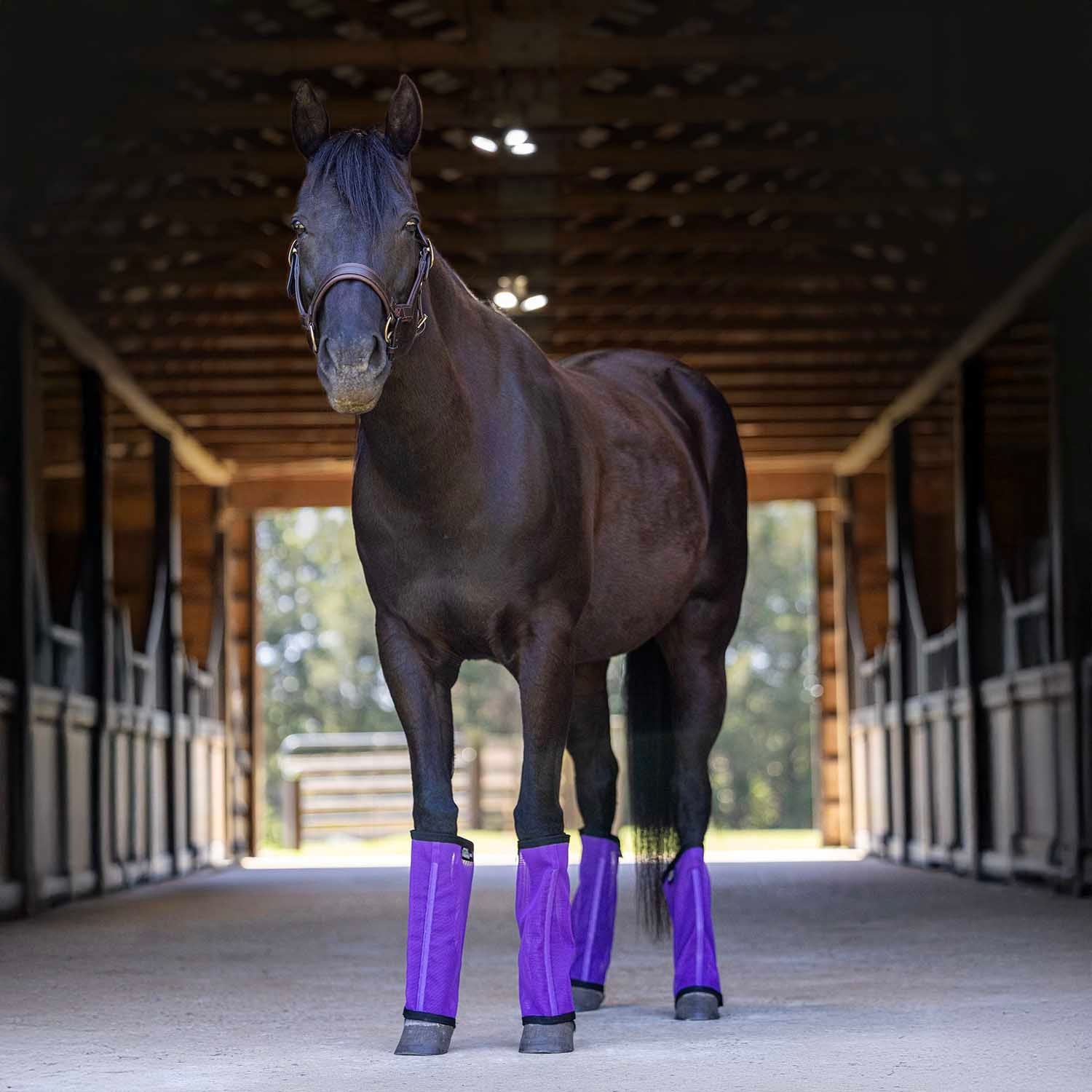 Pre-Sale Jeffers Romper Stomper "Stomp-Free" Fly Boots for Horses, 4 pack